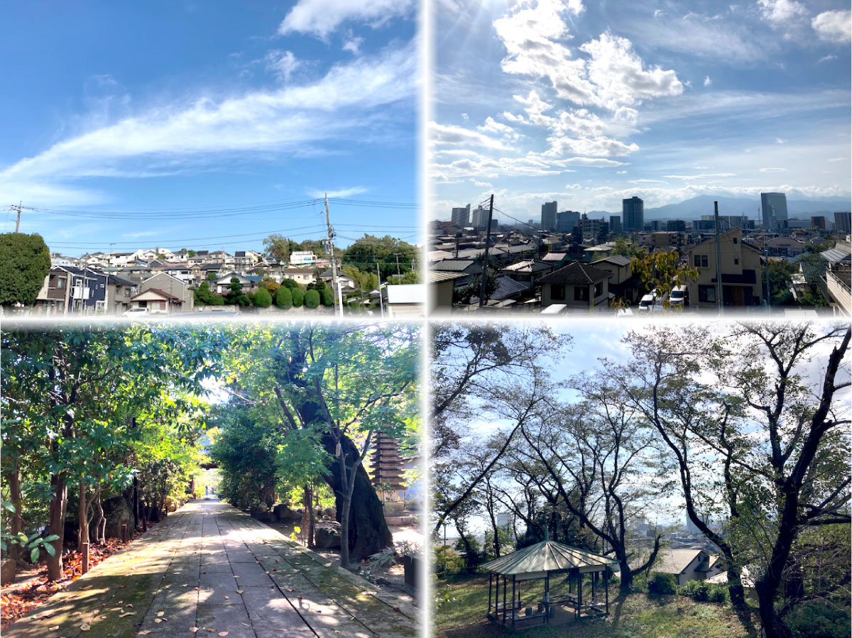 海老名市｜国分エリア｜耳鼻咽喉科ならこくぶ耳鼻咽喉科